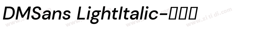 DMSans LightItalic字体转换